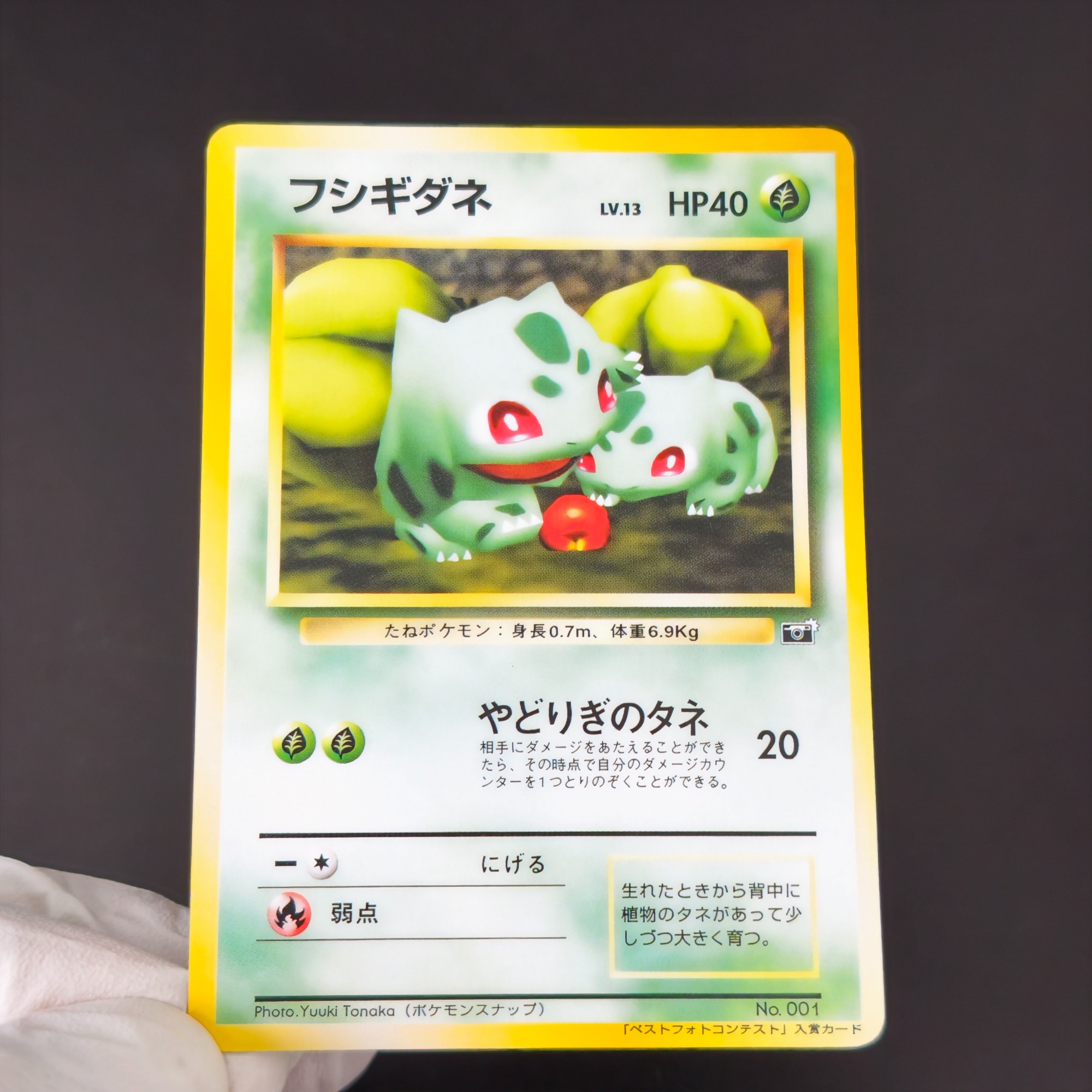 10 個ポケモンヴィンテージボーイフシギダネヒトカゲゼニガメ - Vintage Pokemon Collectible のレビューと価格